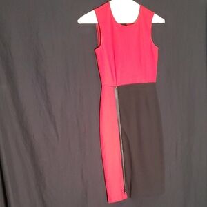 Kenneth Cole Vibrant Red Dress